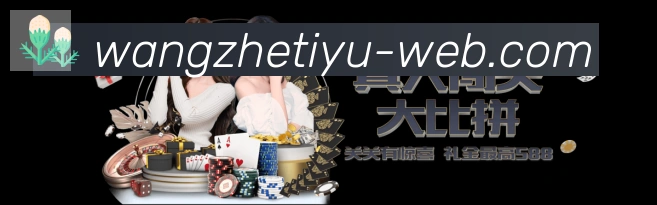 未来规划